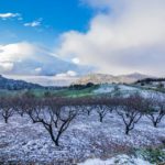 La primavera vive en el frío del invierno…